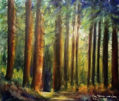 15G  Alberto Romer, Aquarell Pastell 50x60cm 2015, Aus Bäumen wird Wald