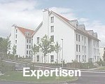 Expertisen